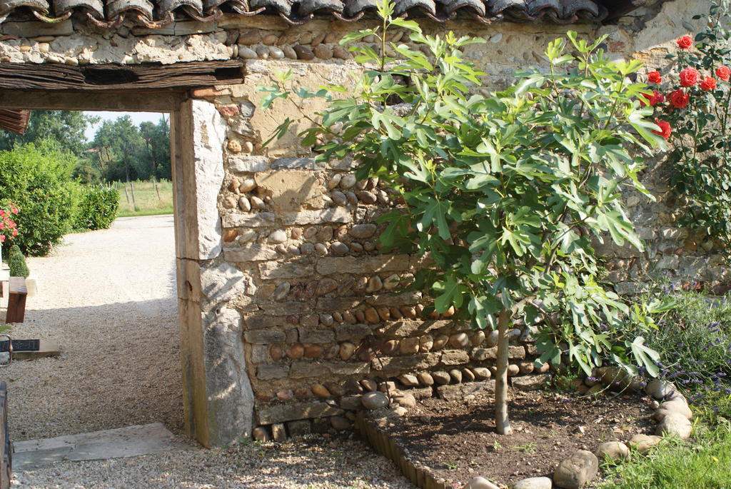 Le Moulin De Champagne
